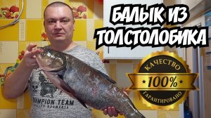 Балык из толстолобика. Простой и вкусный рецепт.