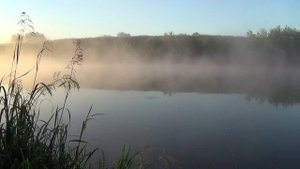 Рыбалка на реке. Горох, кукуруза, перловка.
