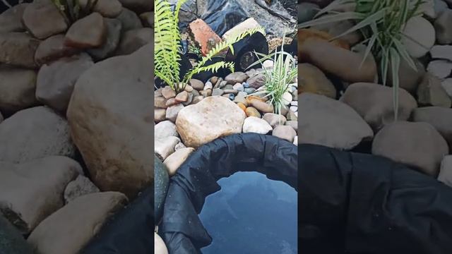 Пруд в огороде смотреть онлайн