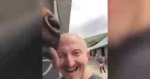 Лошадь облизнула мужика