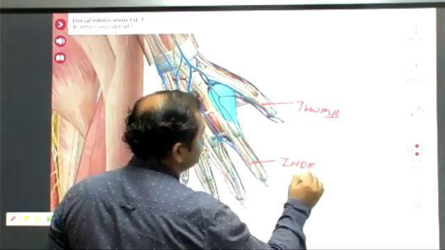 DAY26 LEARN TO MAKE ACUPUNCTURE  PROTOCOL , ACUPUNCTURE FOR CLINICIAN & EXAM PREPARATION