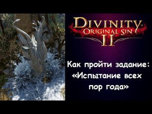 Как пройти задание "Испытание всех пор года" в Divinity 2