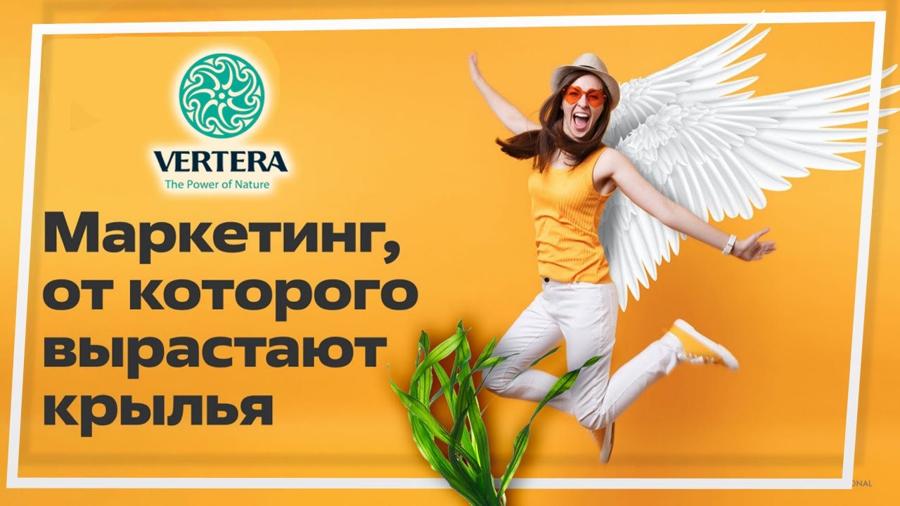 Маркетинг-план компании VERTERA / ВЕРТЕРА