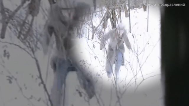 Хиты 70-х. Юрий Визбор.  Мне твердят