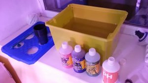 Клубника на гидропонике. Гидропонная установка своими руками