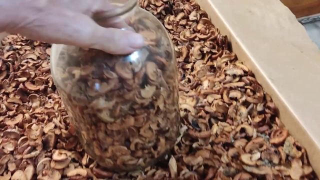 Как хранить сухофрукты смотреть онлайн