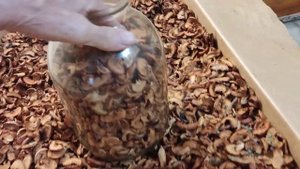 Как хранить сухофрукты