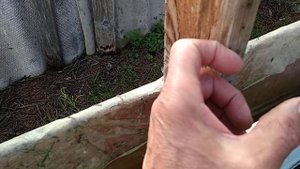 Теплица без фундамента