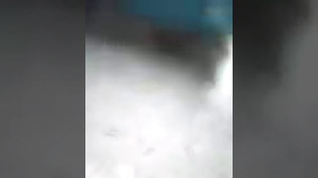 соседи тащат кошек в подъезд и кошки гадят..