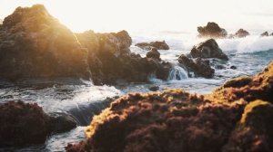 Саблиминал выход из состояния жертвы