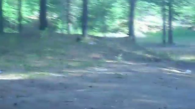 Лесная земляника на карьере смотреть онлайн