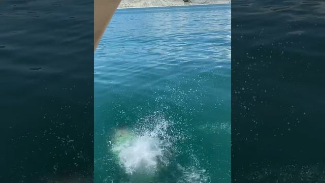 Миша поздравление! смотреть онлайн