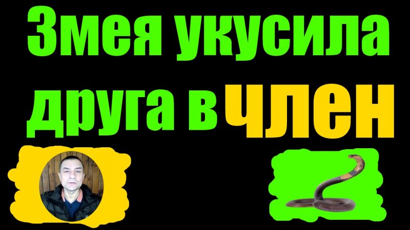 Анекдот  как змея укусила друга