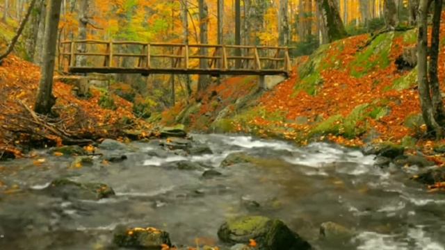 Toccata - Richard Clayderman / YAMAHA Tyros 5 смотреть онлайн