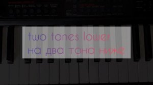 Аккорды киртана Матушки Гаурачандрики. kirtan chords. игра на фисгармонии, playing the harmonium