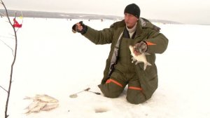 Рыбак Рыбаку 527 "Лещ Сурского водохранилища".