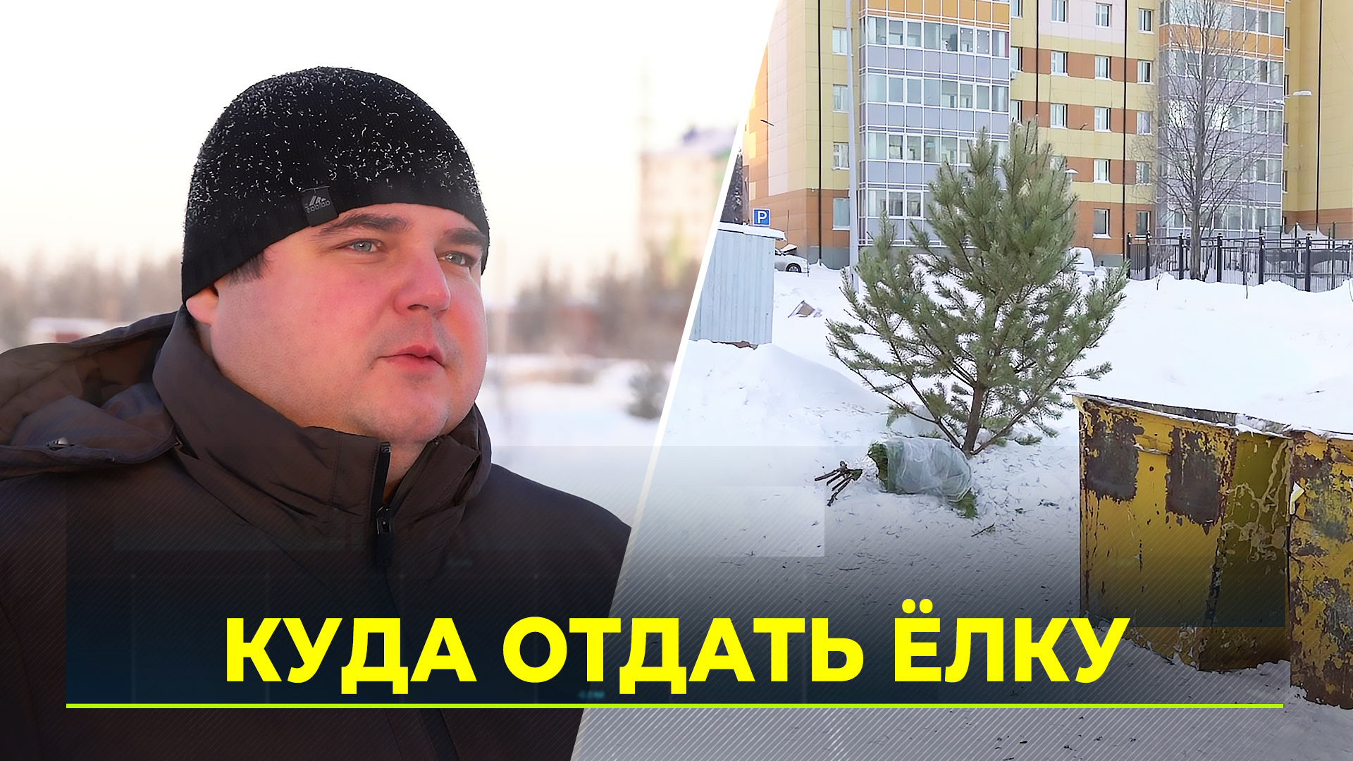 Коммунальщики готовятся утилизировать новогодние ёлки
