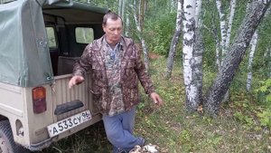 Сбор грибов на Среднем Урале .
