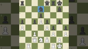 Открытые, закрытые и полузакрытые позиции