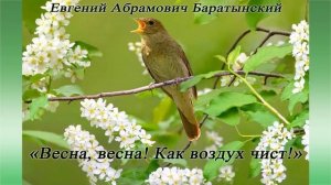 Весна, весна! Как воздух чист! - Баратынский Е. А.