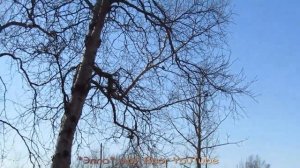 Мой фотоаппарат Canon/Луна в 42 кр.приближении/(тест 42х zoom)/влог