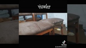 мебель. мягкая мебель. ремонт. реставрация. стулья. перетяжка. ткань. велюр