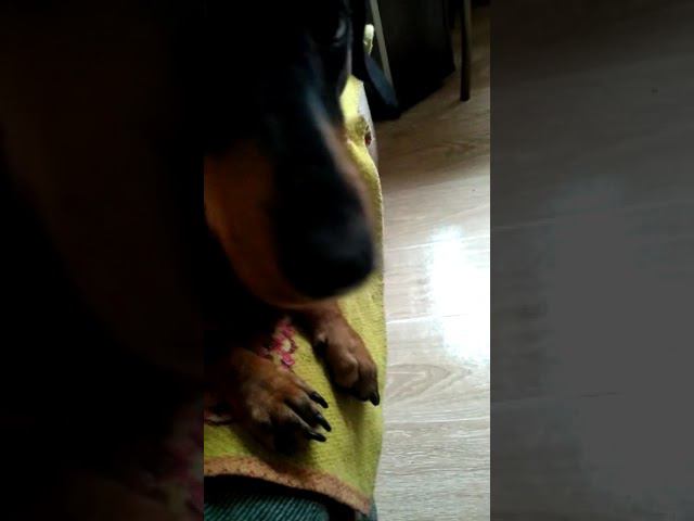 Жду смотреть онлайн