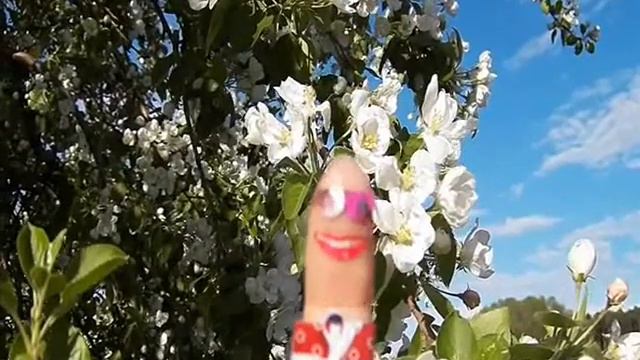 С ДР,ДОРОФЕЙ! смотреть онлайн