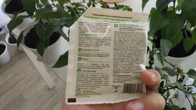 Выращиваю острые перцы чили и халапеньо в квартире. Мое новое хобби. смотреть онлайн