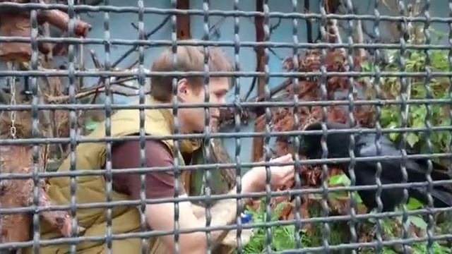 Говорящий ворон в Московском зоопарке смотреть онлайн