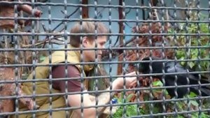 Говорящий ворон в Московском зоопарке