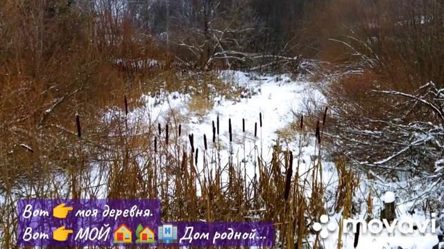 Вторник, 22 ноября. д. Заозерье, Богородский район, Нижегородская область. смотреть онлайн