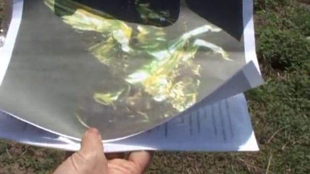 весна в Ростовском заповеднике смотреть онлайн