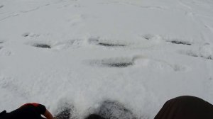 Зимняя рыбалка 2018 на реке Ворона. Жерлицы и безмотылка