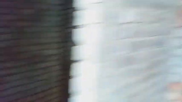 Заброшенный лагерь часть 2
