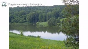 Охота в Белгородской области – Охотхозяйство ООО «АгротехГарант» охота на голубя