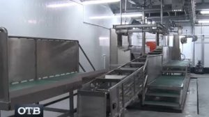 Свинокомплекс «Уральский» выходит на полную мощность