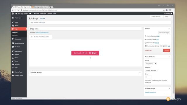 Brizy Page Builder WordPress Tutorial - Theme Headers & Footers