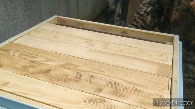 Заселение альпийского улья.