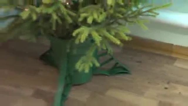 Живая елка с доставкой г.Москва смотреть онлайн