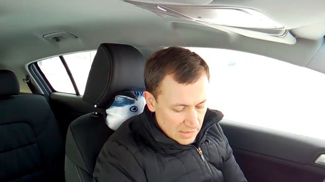 Kia Sportage: стоит ли делать каско на автомобиль? смотреть онлайн