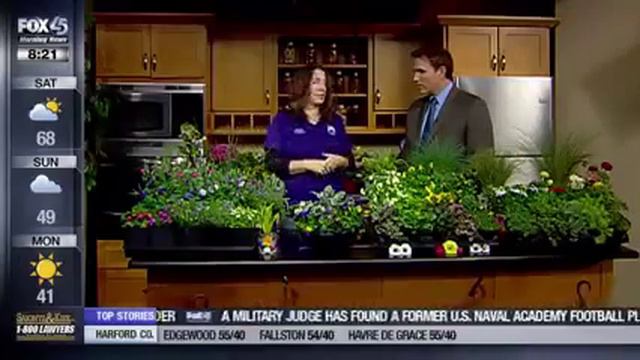 Early spring gardening tips - WBFF, Spring 2014 смотреть онлайн