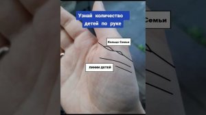 Узнай количество детей по руке