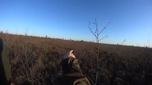 Подготовка к весенней охоте 2020,ищем тетеревинный ток, строим шалаш, встреча с лисой.