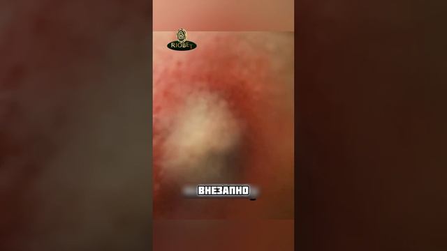 Паук укусил девушку и потом… 😳