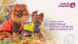 Новая коллекция одежды и обуви в ЧЕТЫРЕ ЛАПЫ