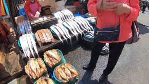 САМЫЙ БОЛЬШОЙ РЫБНЫЙ РЫНОК В КОРЕЕ/ АКУЛЫ В ПРОДАЖЕ/ Корея тур/The largest seafood market in Korea