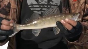 Рыбалка в Весьегонске 2013.Часть 1