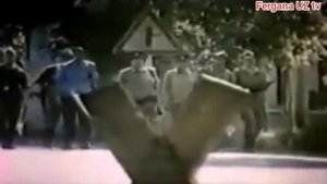 История Фергана 1989 года