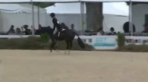 Video of NAUTIQUA ridden by TAYLOR ST JACQUES from ShowNet!